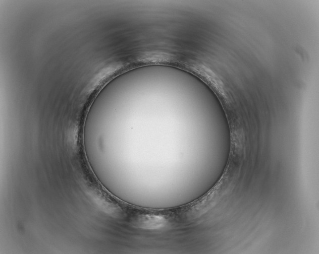 X0000111850159200907301118