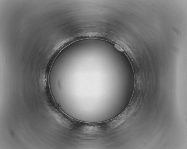 X0000111850160200907301118