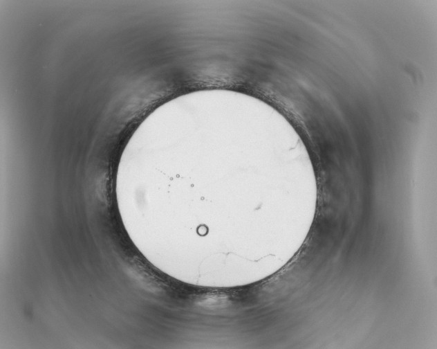 X0000111850162200907301118