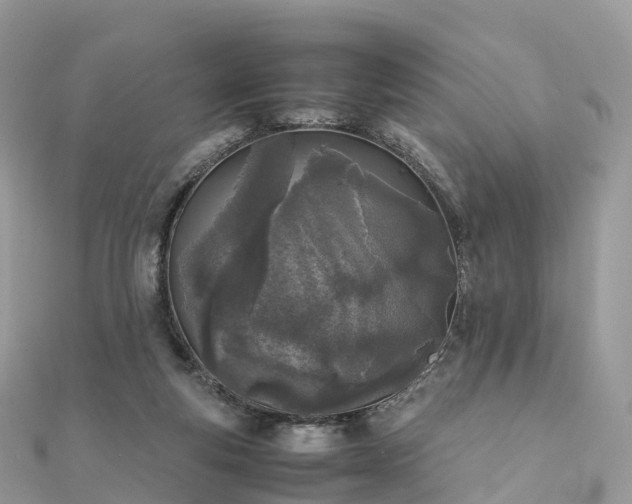 X0000111850163200907301118