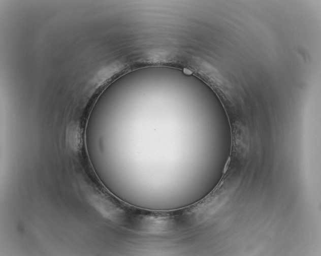 X0000111850164200907301118