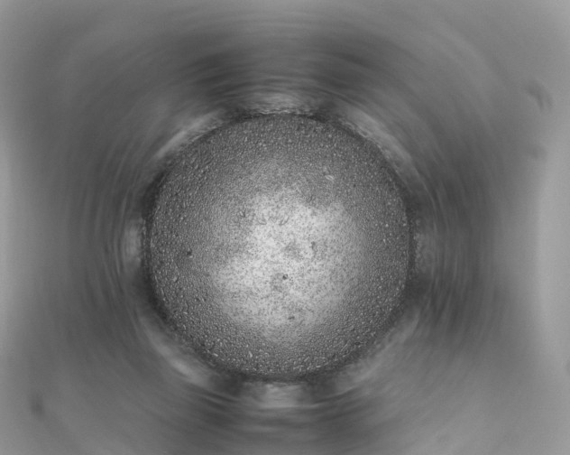 X0000111850165200907301118