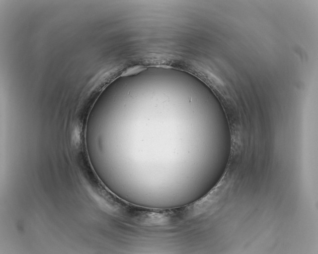 X0000111850166200907301118