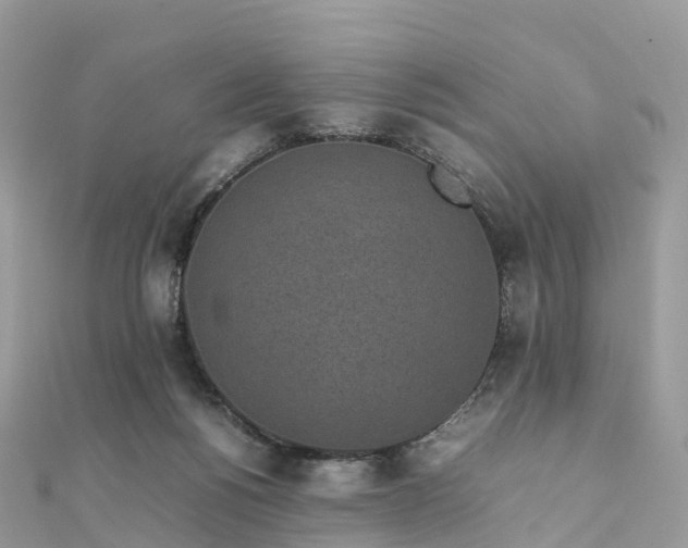 X0000111850168200907301118