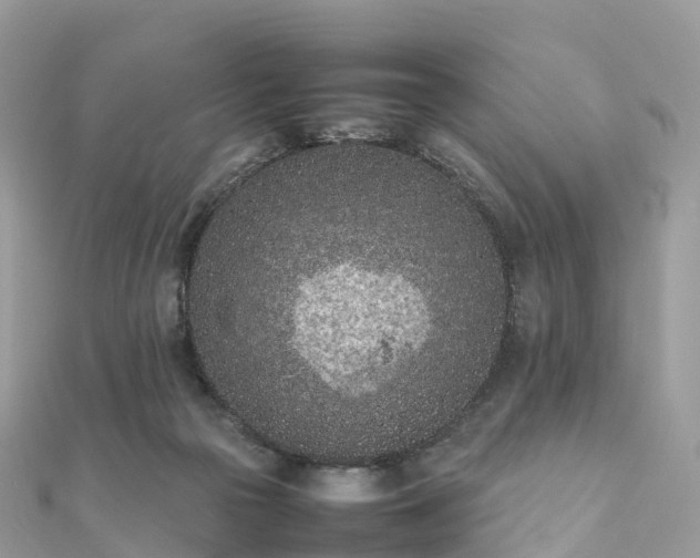 X0000111850169200907301118