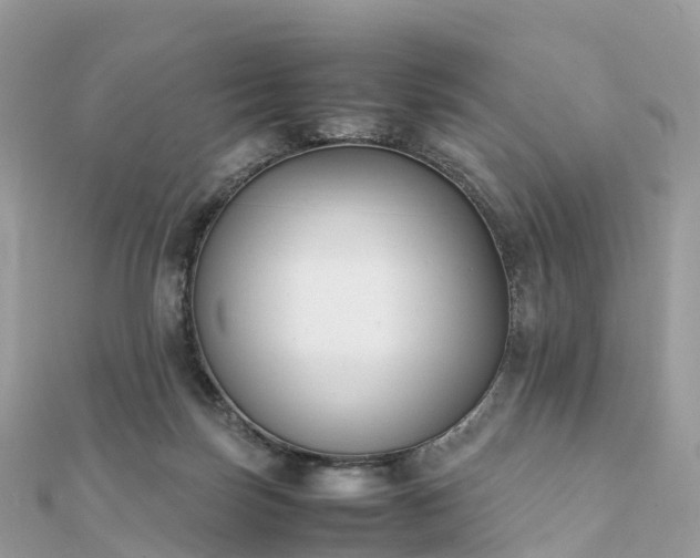 X0000111850171200907301118