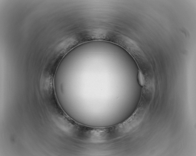 X0000111850172200907301118