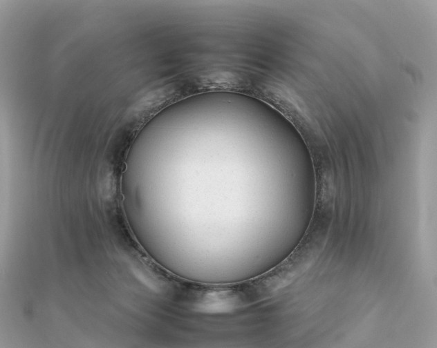 X0000111850173200907301118