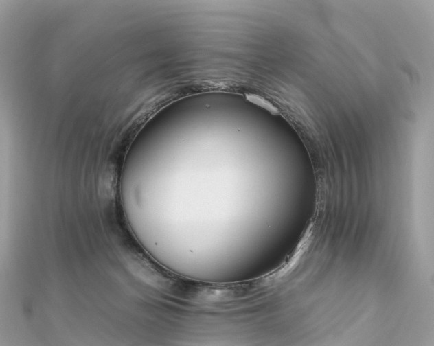 X0000111850174200907301118