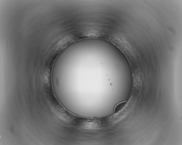 X0000111850175200907301118