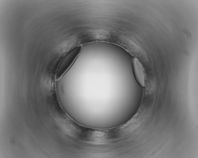 X0000111850176200907301118