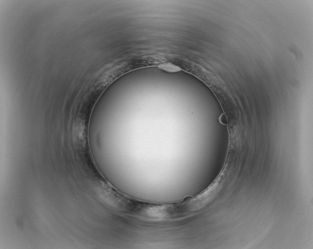 X0000111850178200907301118