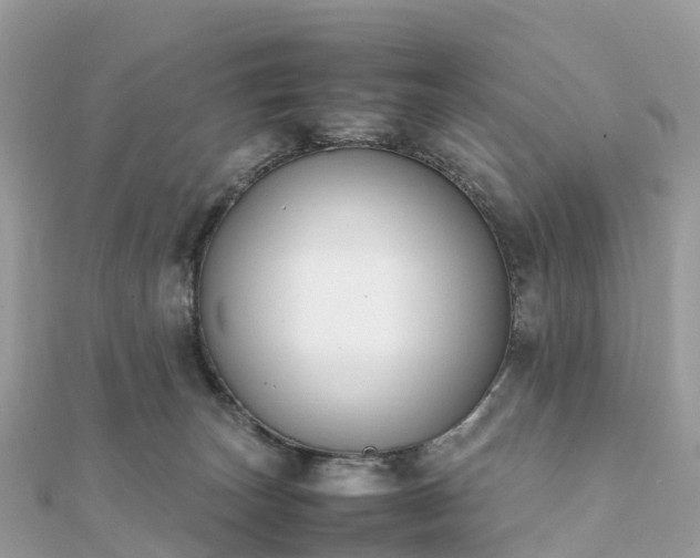 X0000111850179200907301118