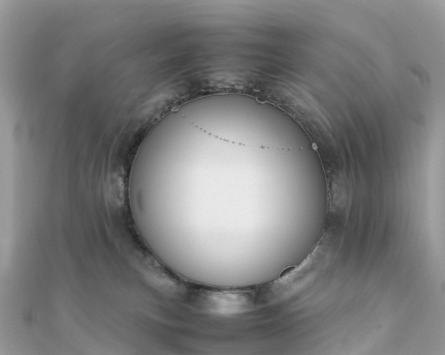 X0000111850183200907301118