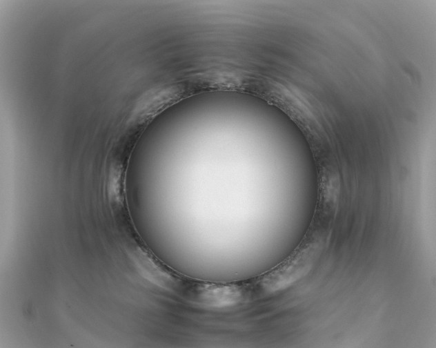 X0000111850185200907301118