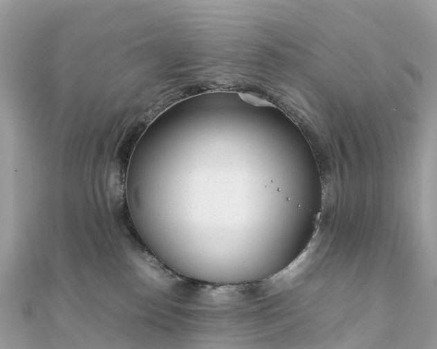 X0000111850186200907301118