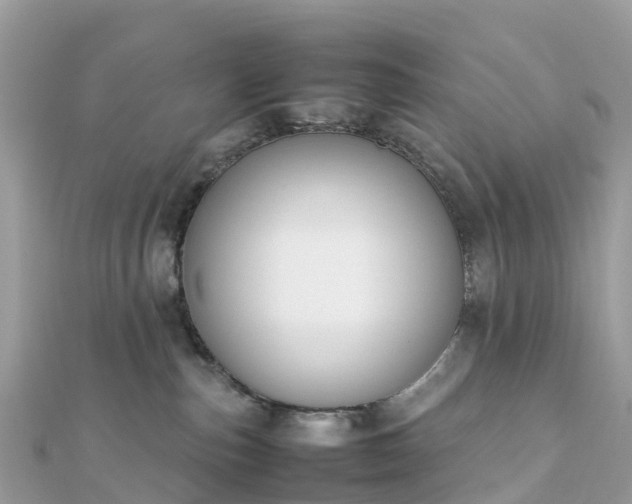 X0000111850187200907301118