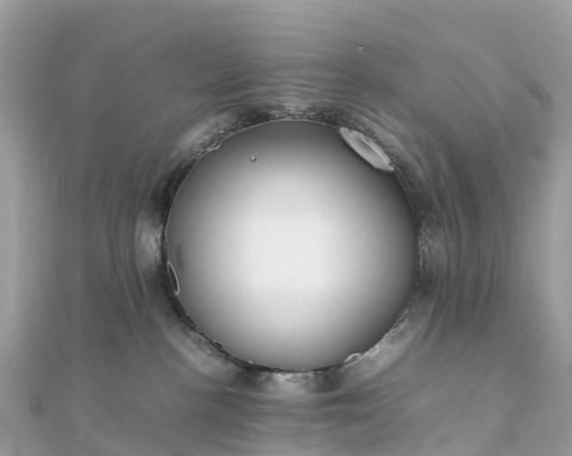 X0000111850188200907301118