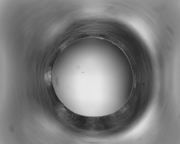 X0000111850190200907301118