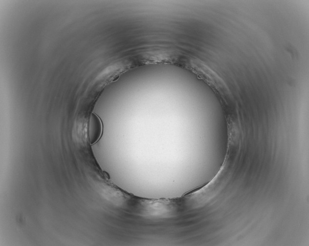 X0000111850191200907301118