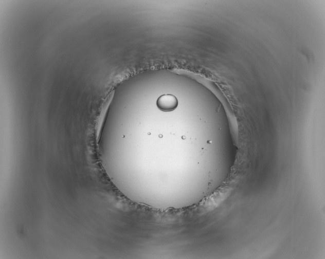 X0000111850192200907301118