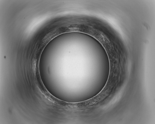 X0000111850194200907301117