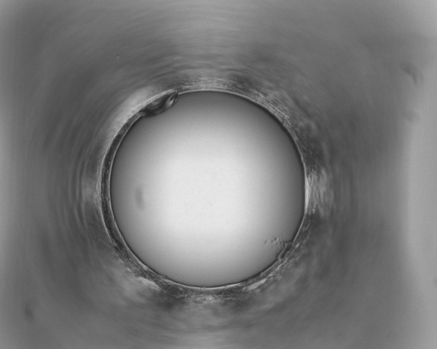 X0000111850195200907301117