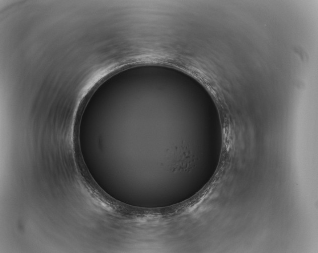 X0000111850196200907301117