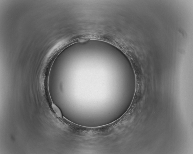 X0000111850197200907301117