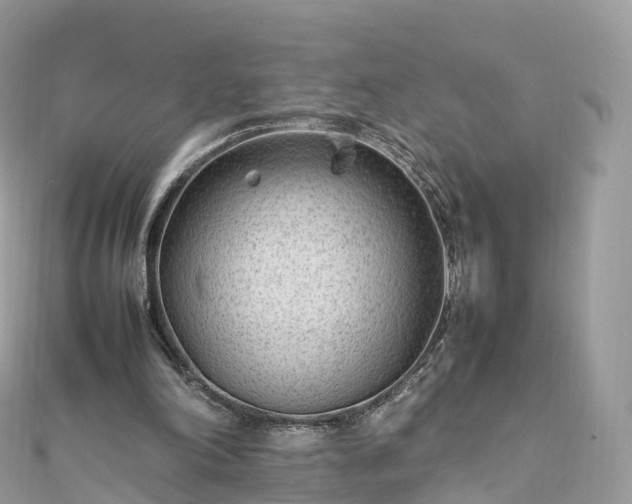 X0000111850198200907301117