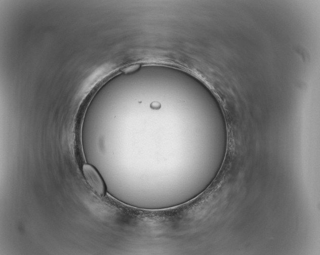 X0000111850199200907301117