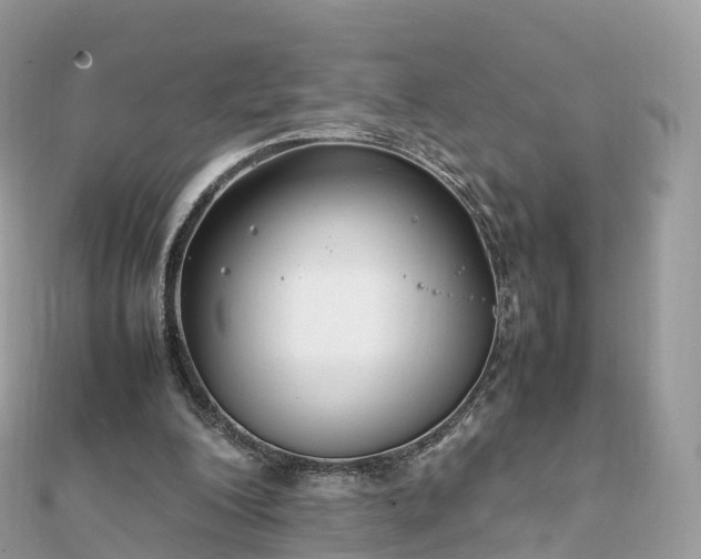 X0000111850200200907301117