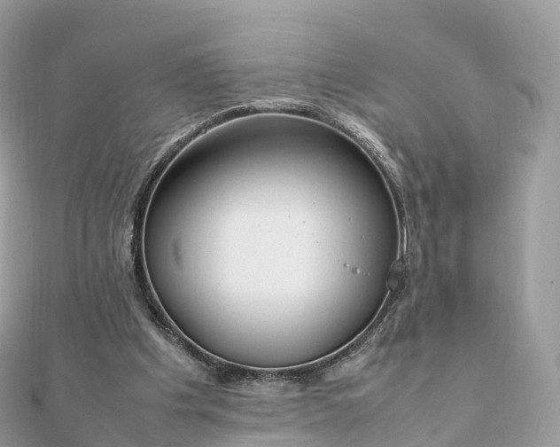 X0000111850201200907301117