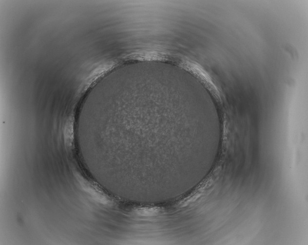 X0000111850202200907301117