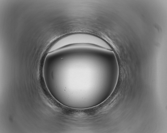 X0000111850203200907301117