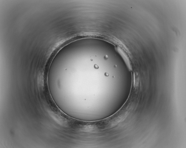 X0000111850204200907301117