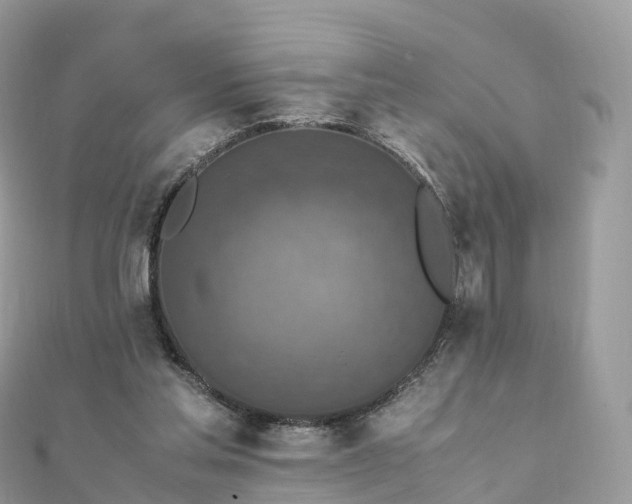 X0000111850205200907301117