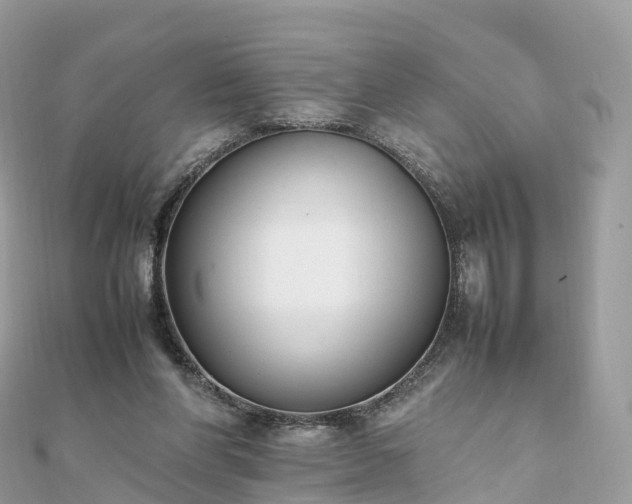 X0000111850206200907301117