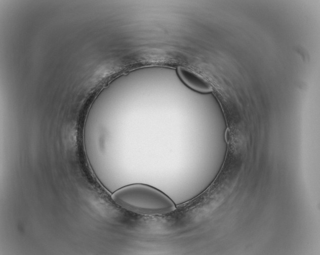 X0000111850207200907301117