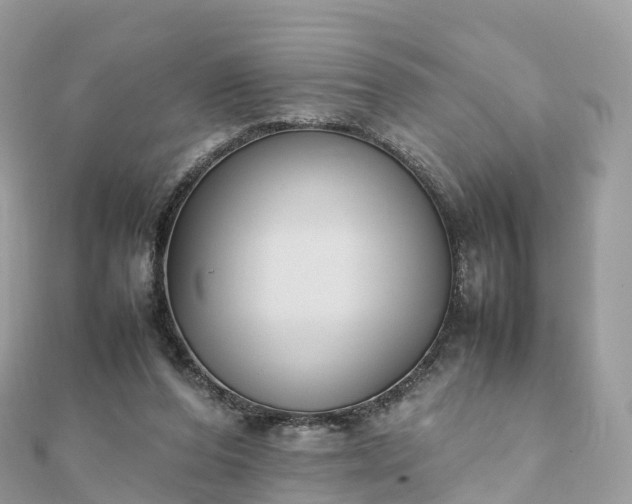 X0000111850208200907301117