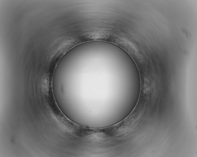 X0000111850210200907301117