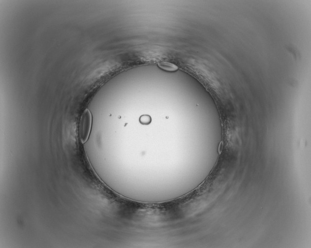 X0000111850211200907301117