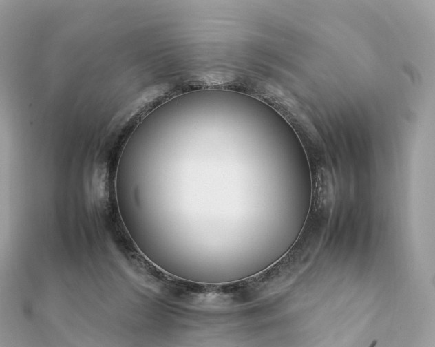 X0000111850212200907301117