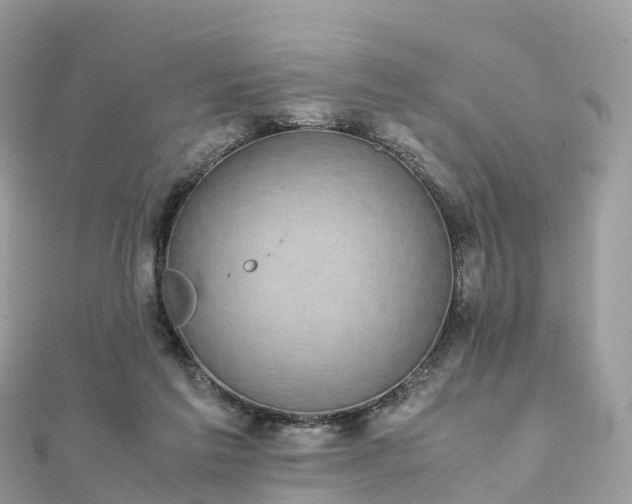 X0000111850213200907301117