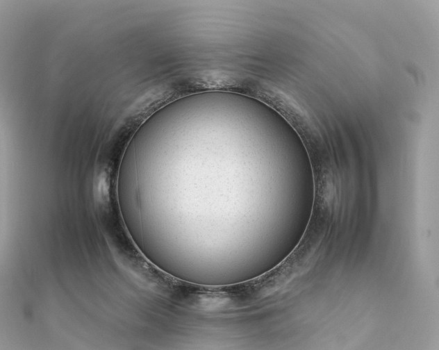 X0000111850214200907301117