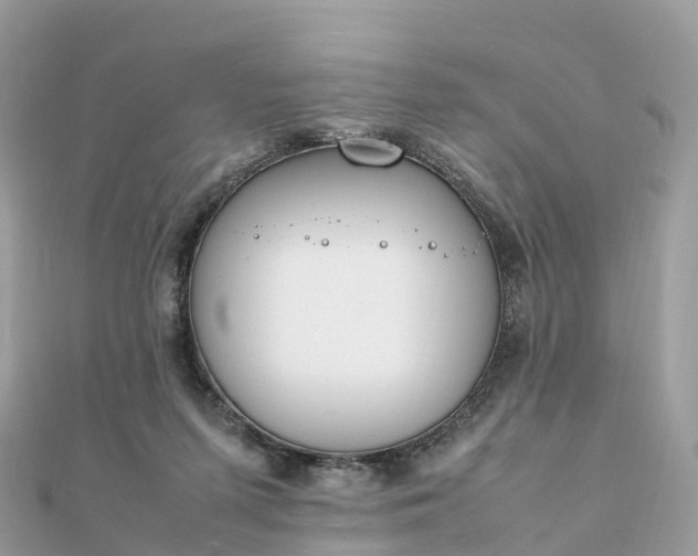 X0000111850215200907301117