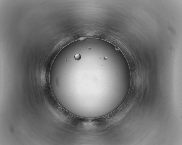 X0000111850216200907301117