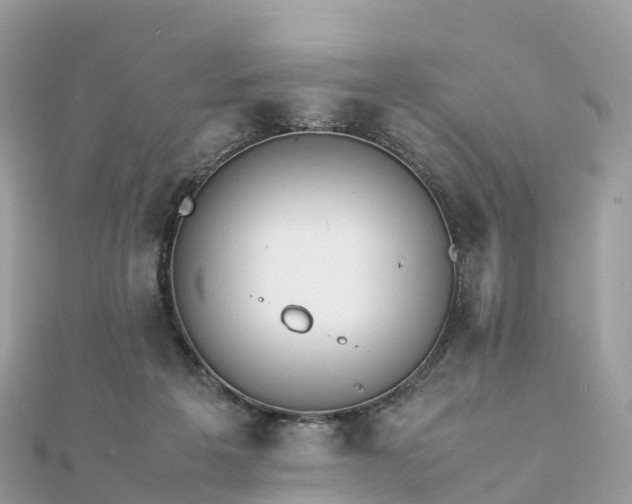 X0000111850217200907301117