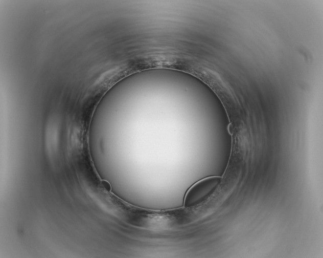 X0000111850218200907301117