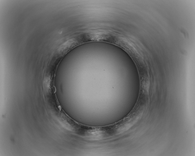 X0000111850219200907301117